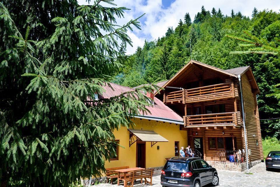 Cabana Bradul Rodna المظهر الخارجي الصورة